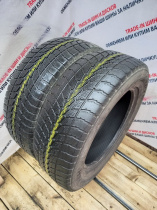 Toyo Winter Tranpath S1 R17 225/65