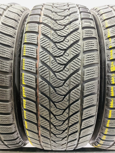 Delinte Winter WD1 R16 205/55