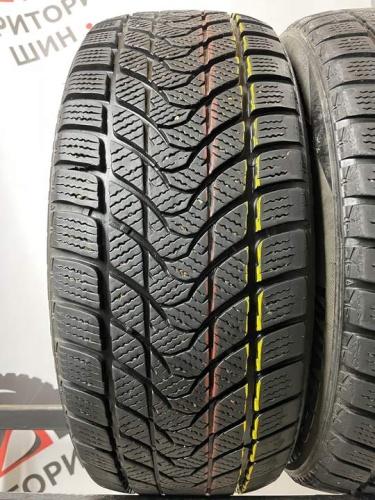 Delinte Winter WD1 R16 205/55