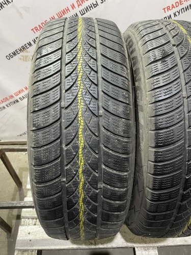 Triangle WinterX TW401 R16 205/60