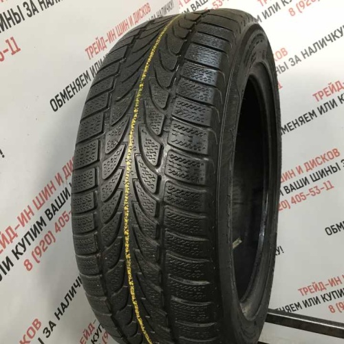 Nokian WR R17 225/55