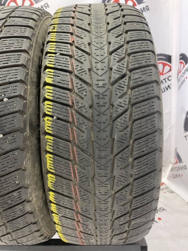 Nexen Winguard Ice Plus  R16 205/60