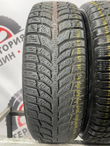 DoubleStar WinterKing DW08 R13 175/70