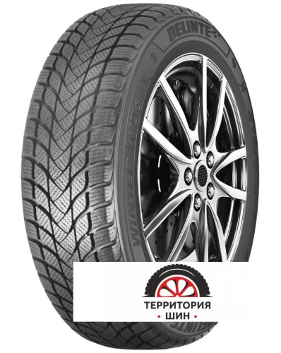 Delinte Winter WD6 R15 205/65 94H