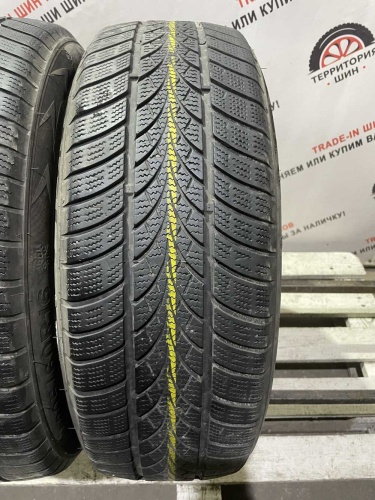 Triangle WinterX TW401 R16 205/60