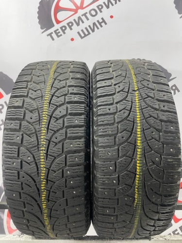 Pirelli Winter Carving Edge R16 205/55