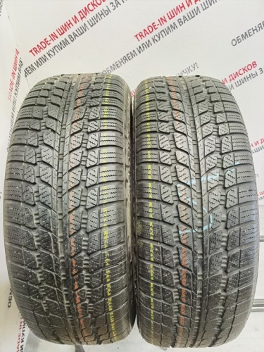 Sunny SN290 R17 225/60