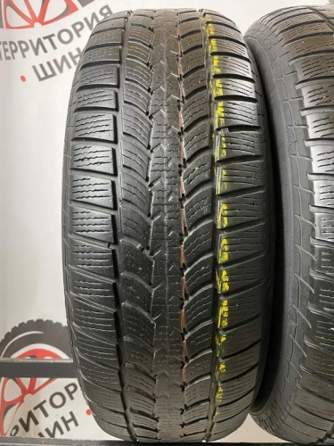 Sava Eskimo SUV2 R17 225/65