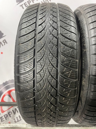 Triangle WinterX TW401 R17 205/55