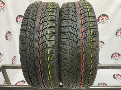 Bridgestone Blizzak Nordic WN-01 R15 185/60 R84