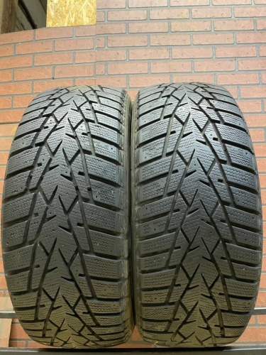 Doublestar DW01  R16   205/60