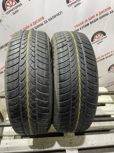 Triangle WinterX TW401 R16 205/60