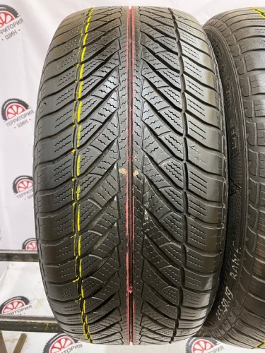 Goodyear Ultra Grip RFT R19 255/50 107H