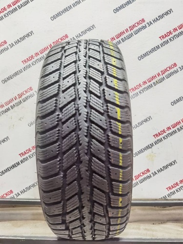 RoadStone WinGuard 231 R15 195/65