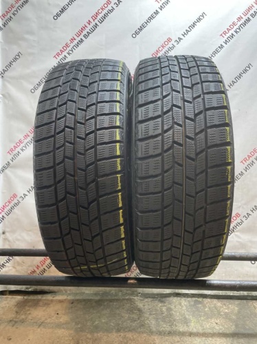 Goodyear Ice Navi 6 205/55 R16