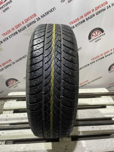 Triangle WinterX TW401 R16 205/60