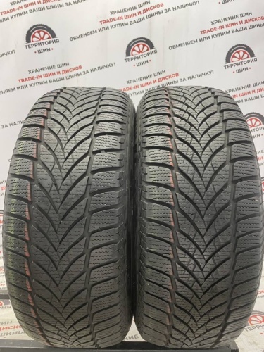 Goodyear Ultragrip Ice 2 R 16 205/55