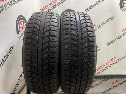 Nankang Snow Winter SW-5 R15 195/65