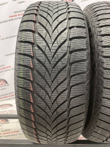 Goodyear Ultragrip Ice 2 R 16 205/55